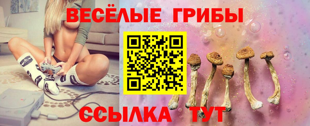 Галлюциногенные грибы мухоморы  Вход с VPN  Галлюциногенные грибы ЛСД  Иваново 